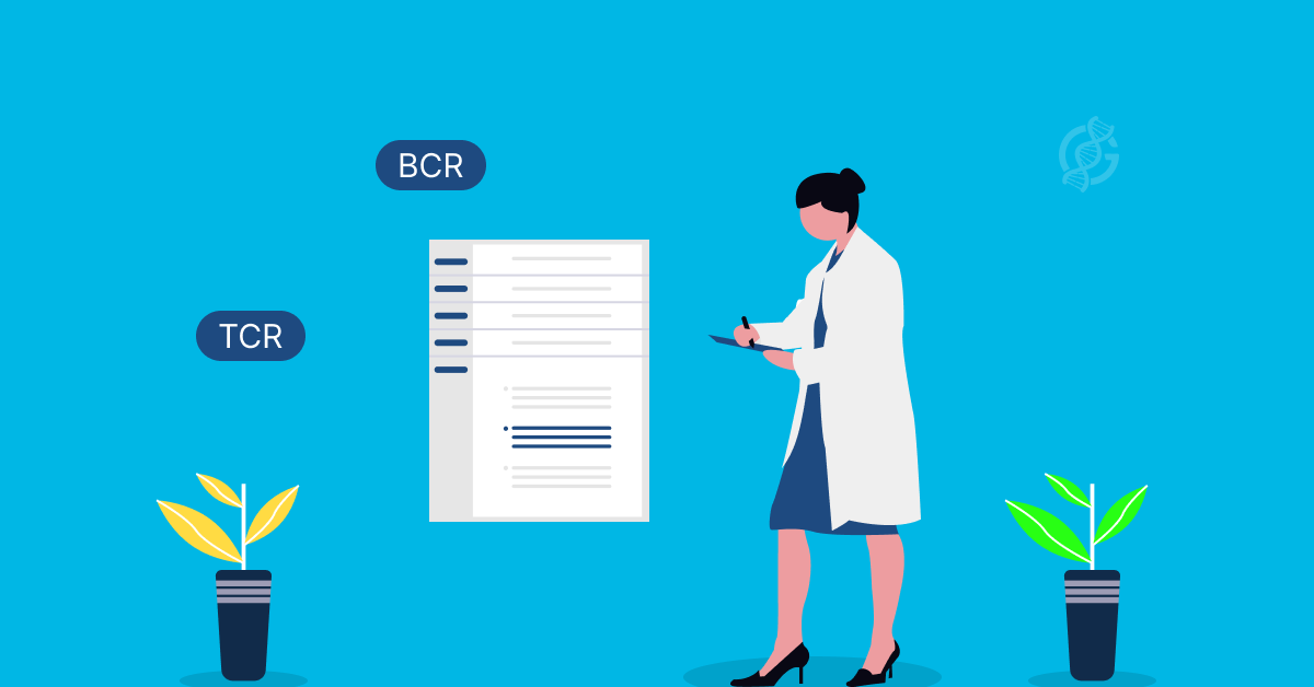 Demystifying Immunomics: A Researcher's Guide to TCR and BCR Repertoire Profiling