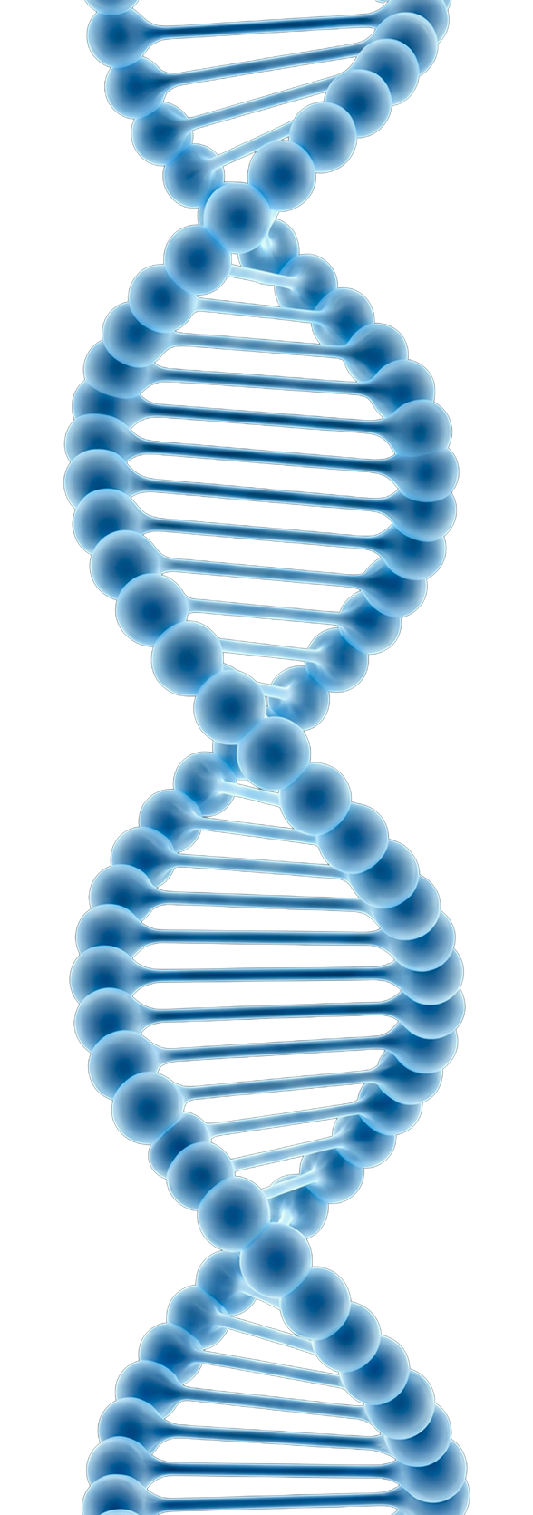 home-dna-2